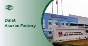 Dalat Asuzac Factory - Servodynamics