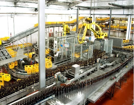 Application of the Sinetamer cascade protection network