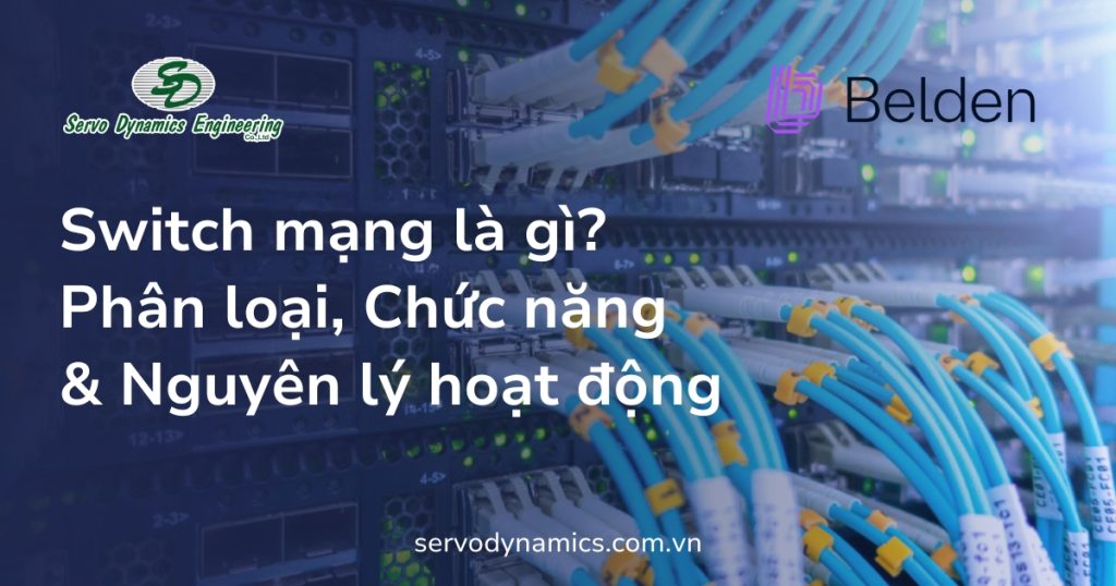 Switch mạng là gì