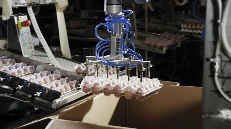 Universal Robots Cobot in F&B Packaging 