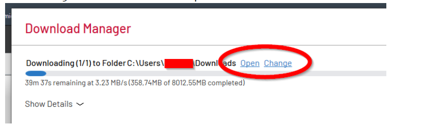 Download Manager download location