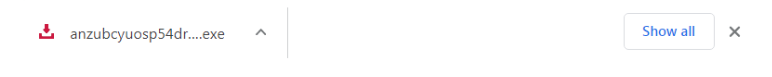 Downloaded executable file in browser