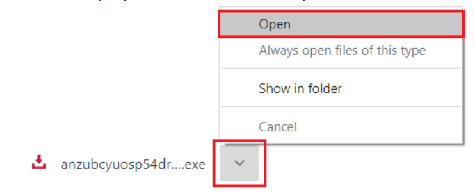 Open Download Manager tool